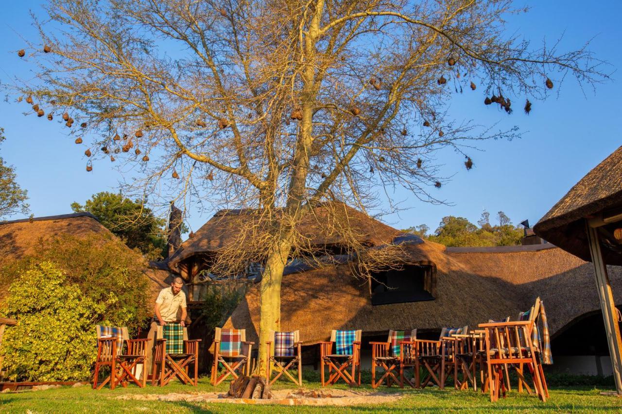 Lalibela Game Reserve Mark'S Camp Grahamstown Exterior foto