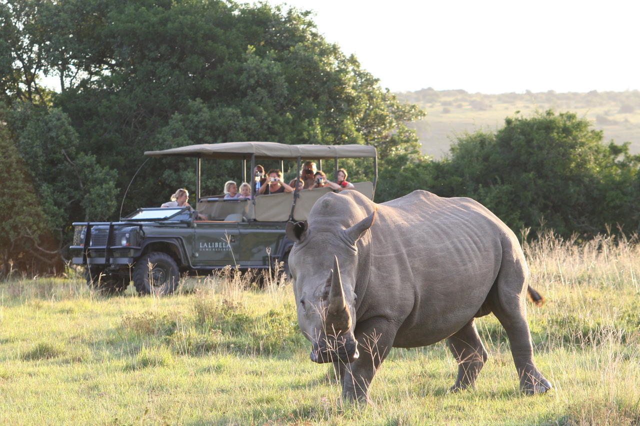 Lalibela Game Reserve Mark'S Camp Grahamstown Exterior foto