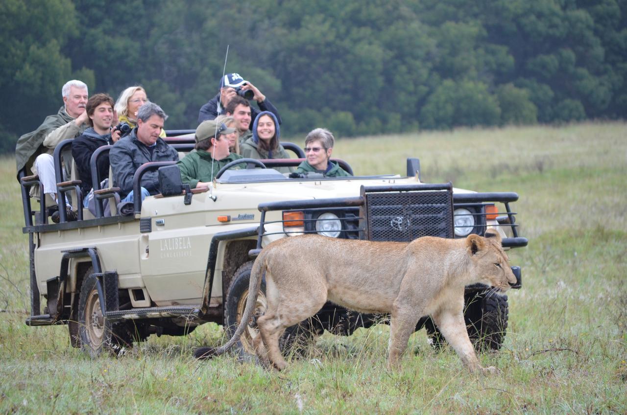 Lalibela Game Reserve Mark'S Camp Grahamstown Exterior foto
