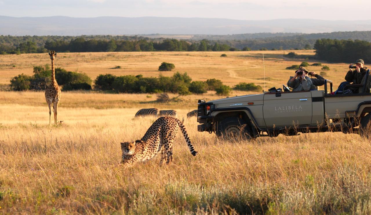 Lalibela Game Reserve Mark'S Camp Grahamstown Exterior foto