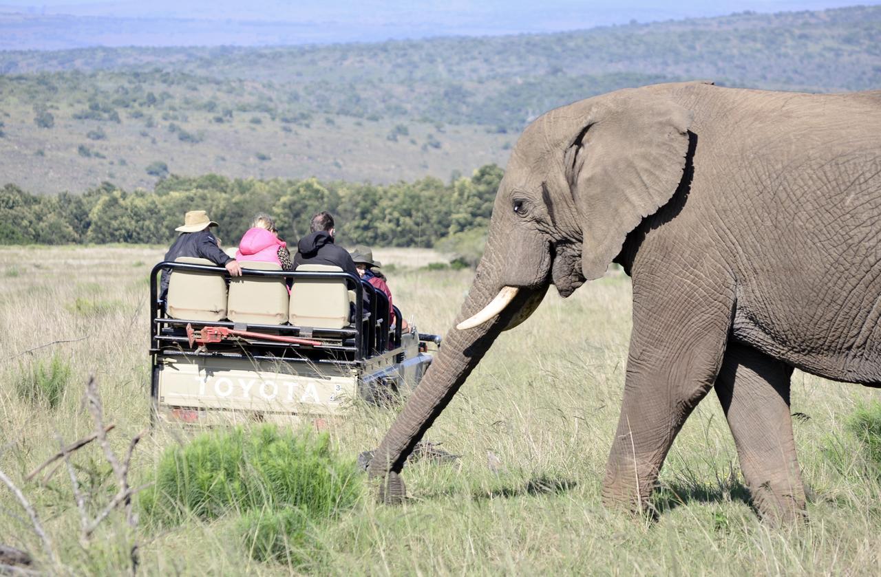 Lalibela Game Reserve Mark'S Camp Grahamstown Exterior foto