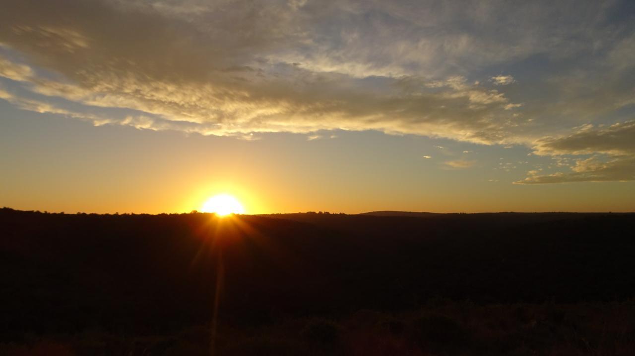 Lalibela Game Reserve Mark'S Camp Grahamstown Exterior foto